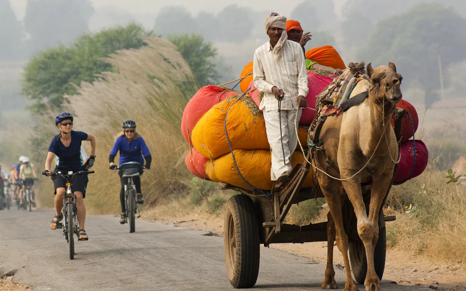 Rajasthan Cycling Tour with Taj and Tigers 16 Days